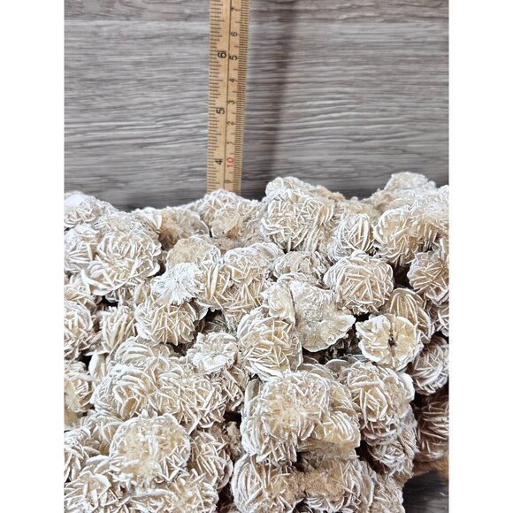 Desert Rose Selenite Natural Raw Gemstone Mineral Crystal Sand Rose Stone 6.5lbs - Picture 14 of 15